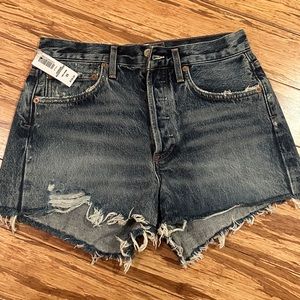 Agolde Parker Short in Rocksteady Size 25